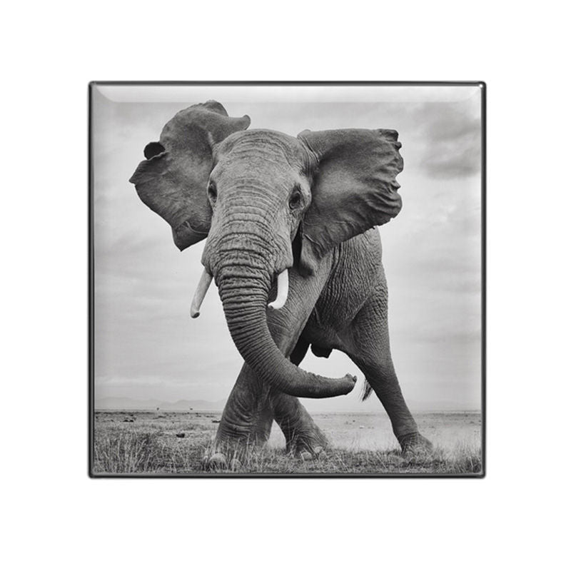 Chantecaille Luminescent Eye Shade - Elephant, 2.5g