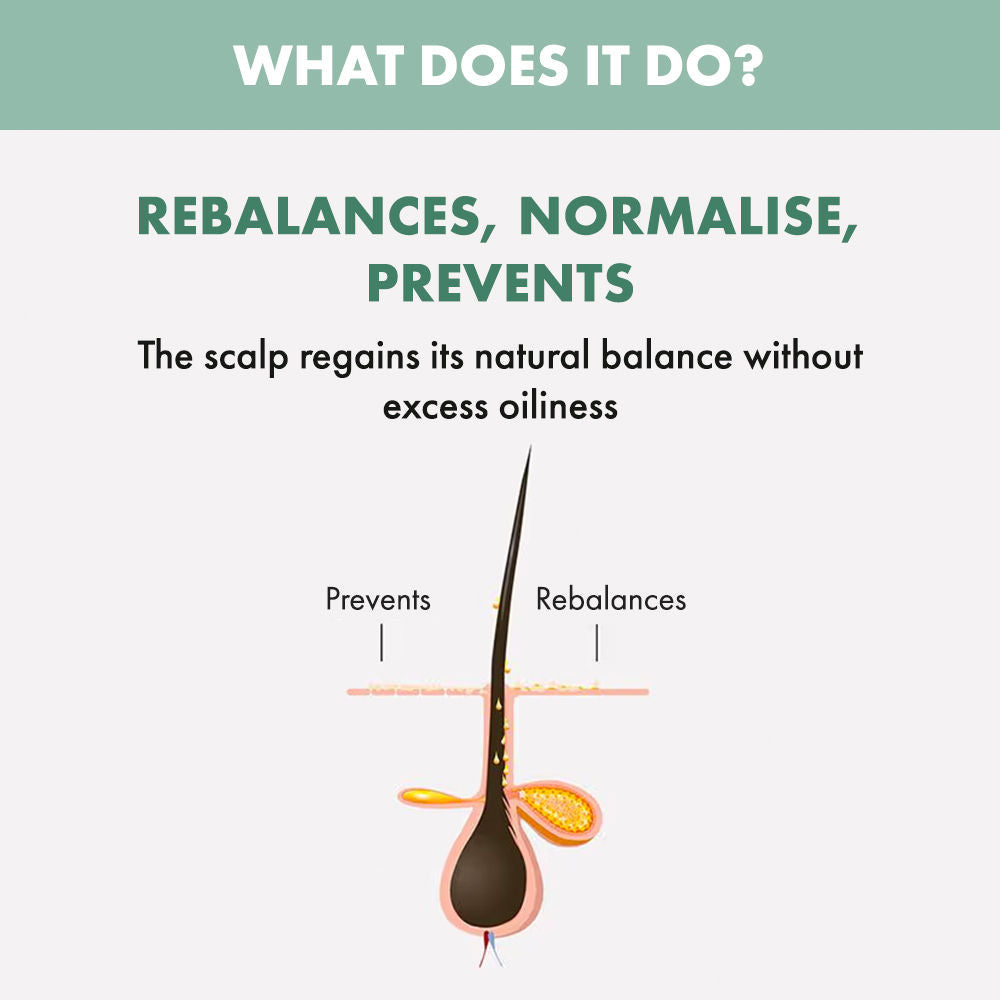 ALFAPARF MILANO Scalp Rebalance Shampoo For Oily Scalp & Frizzy Hair, Sulfate Free, 250ml