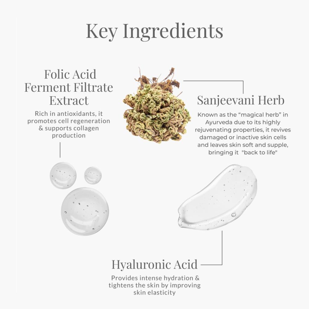 Forest Essentials Moisturising Day Cream Sanjeevani Beauty Elixir - Anti Ageing, Lightweight, 30g