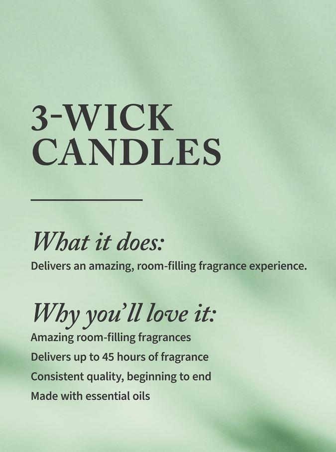 Bath & Body Works Laundry Day 3-Wick Candle, 411 g / 14.5 oz Buy at Indicrest Image 2