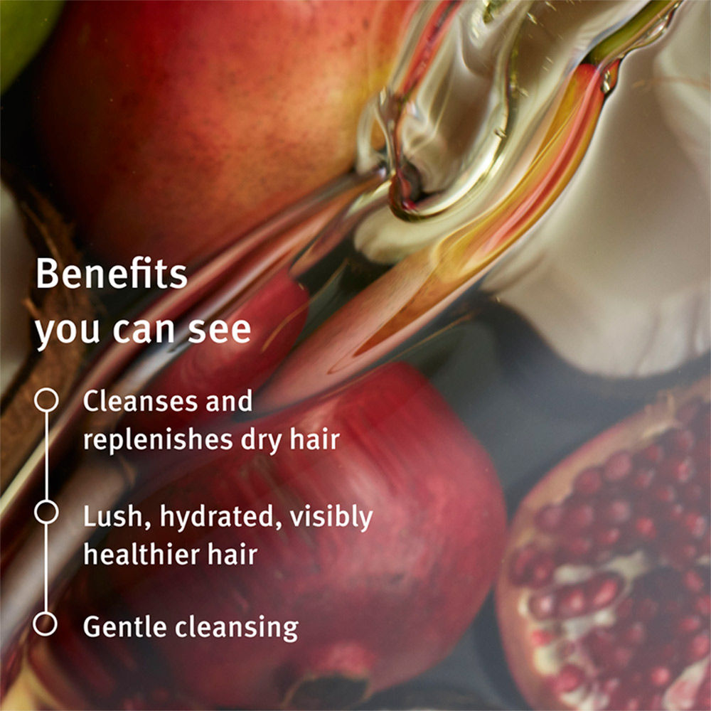 Aveda Nutriplenish Deep Hydration Shampoo for Dry & Frizzy Hair with Coconut Oil - Mini, 50ml