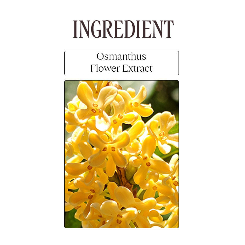 L'Occitane Osmanthus Abricot Perfumed Shower Gel, 250ml