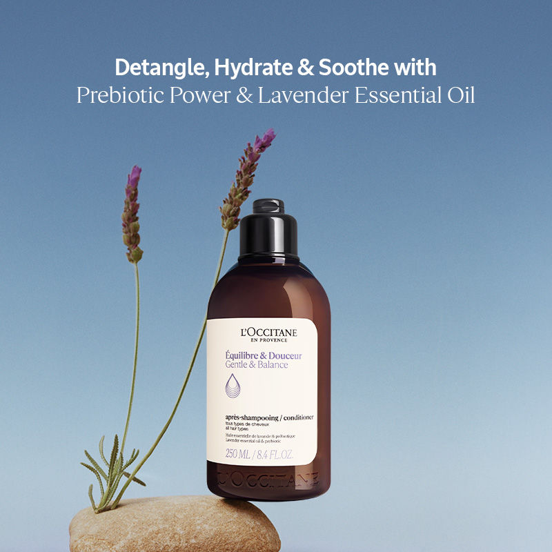 L'Occitane Gentle & Balance Conditioner, 500ml