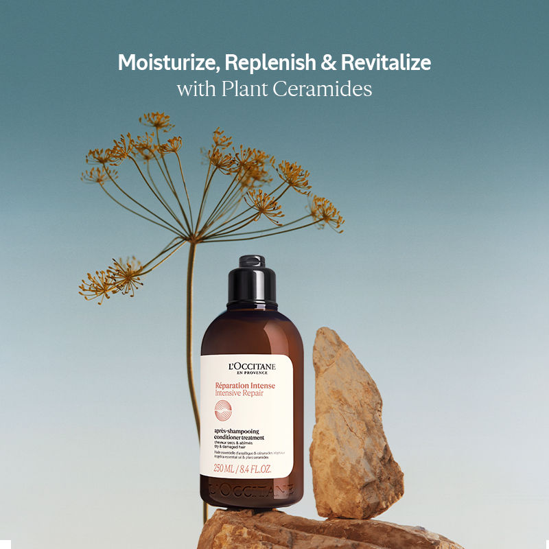 L'OccitaneIntensive Repair Conditioner, 250ml