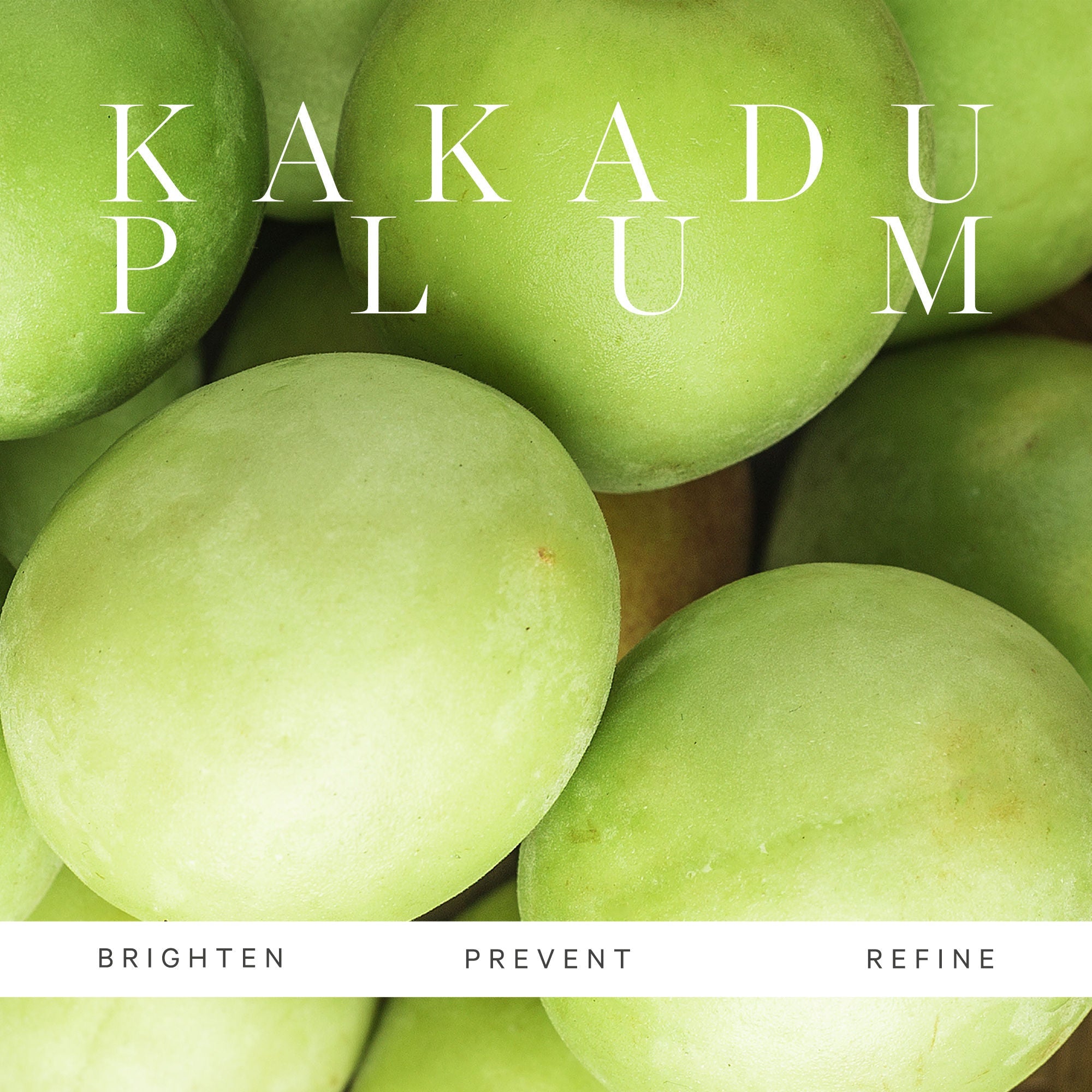 Kora Organics Kakadu Plum Vitamin C Serum Brightens Hydrates Protects With Hyaluronic Acid, Acerola, 10