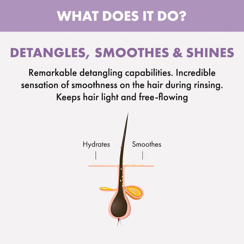 ALFAPARF MILANO Smoothing Conditioner for Dry & Frizzy Hair, Sulfate & Paraben Free, 200ml