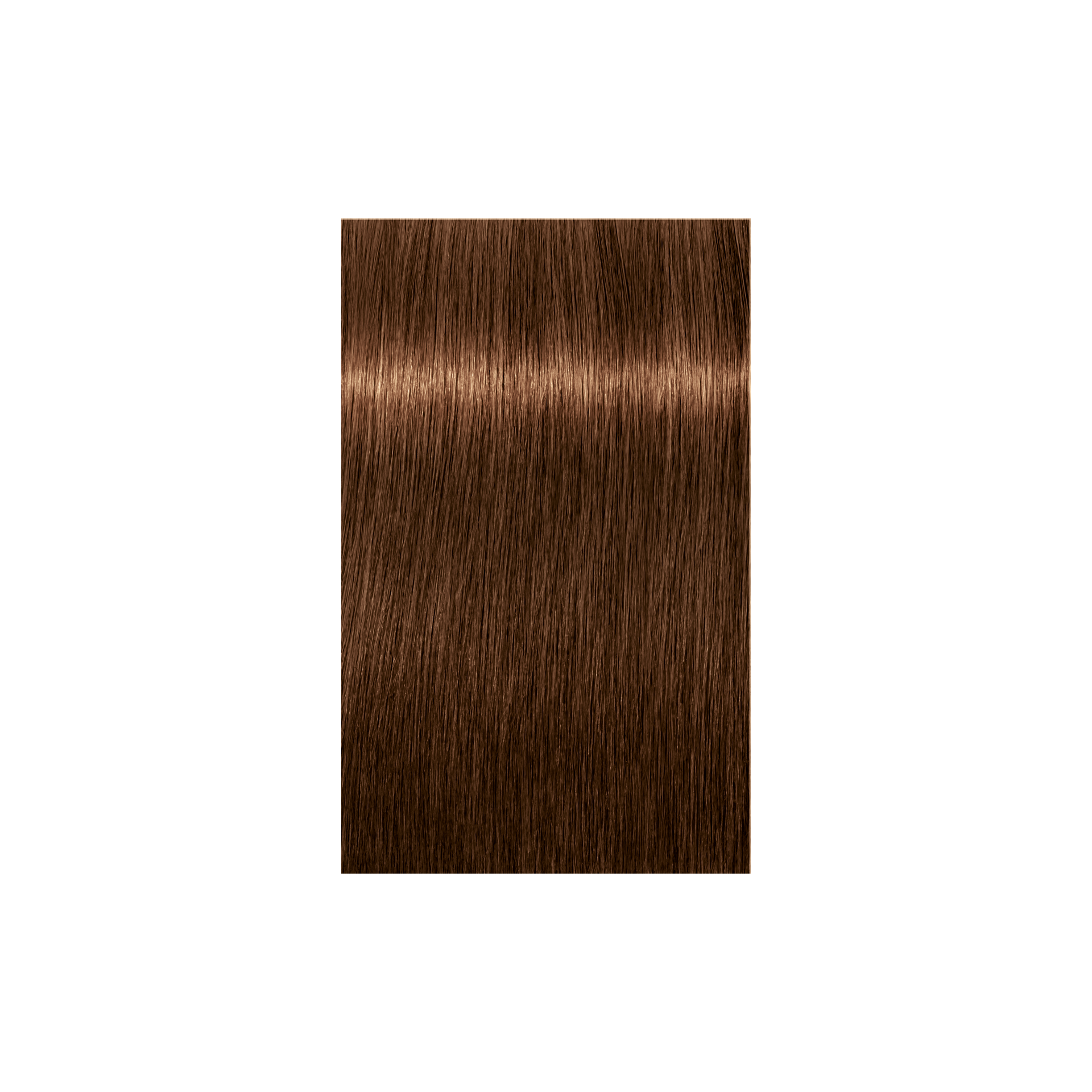 Schwarzkopf Professional Igora Royal Absolutes 6-460 Dark Blonde Beige Chocolate Natural, 60ml Buy at Indicrest Image 2