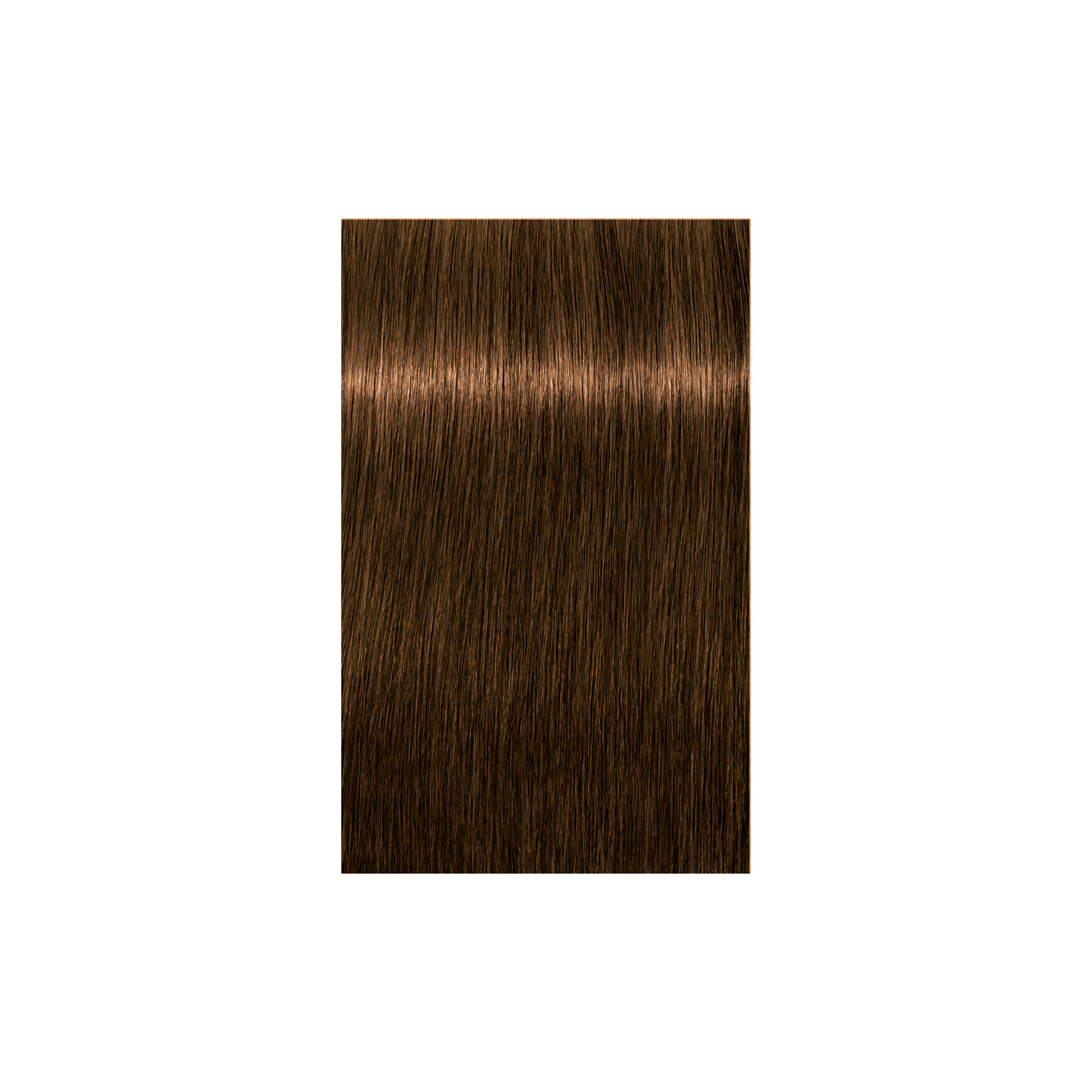 Schwarzkopf Professional Igora Royal Absolutes 6-50 Dark Blonde Gold Natural, 60ml Buy at Indicrest Image 2
