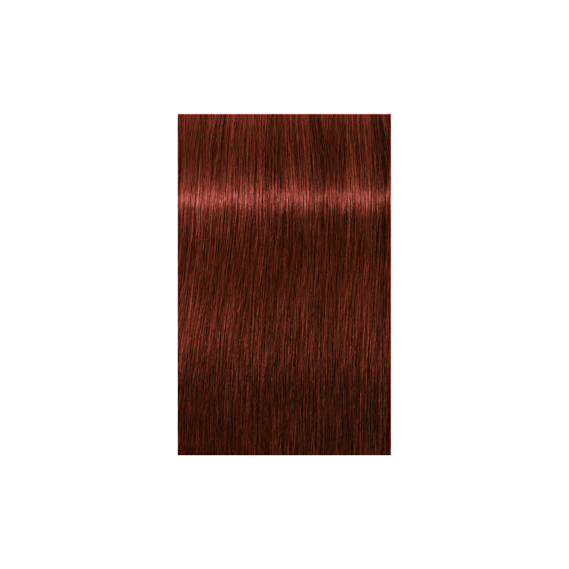 Schwarzkopf Professional Igora Royal Absolutes 6-80 Dark Blonde Red Natural, 60ml Buy at Indicrest Image 2