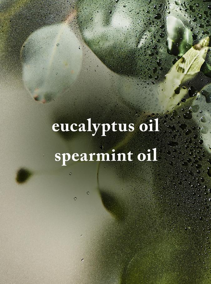 Bath & Body Works Eucalyptus Spearmint Body Wash & Foam Bath, 295 ml / 10 foz US Buy at Indicrest Image 2