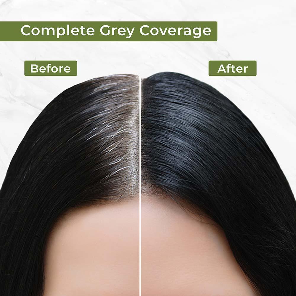Indus Valley Before and After Damage Free Hair Colour Gel Black 220ml Buy at Indicrest