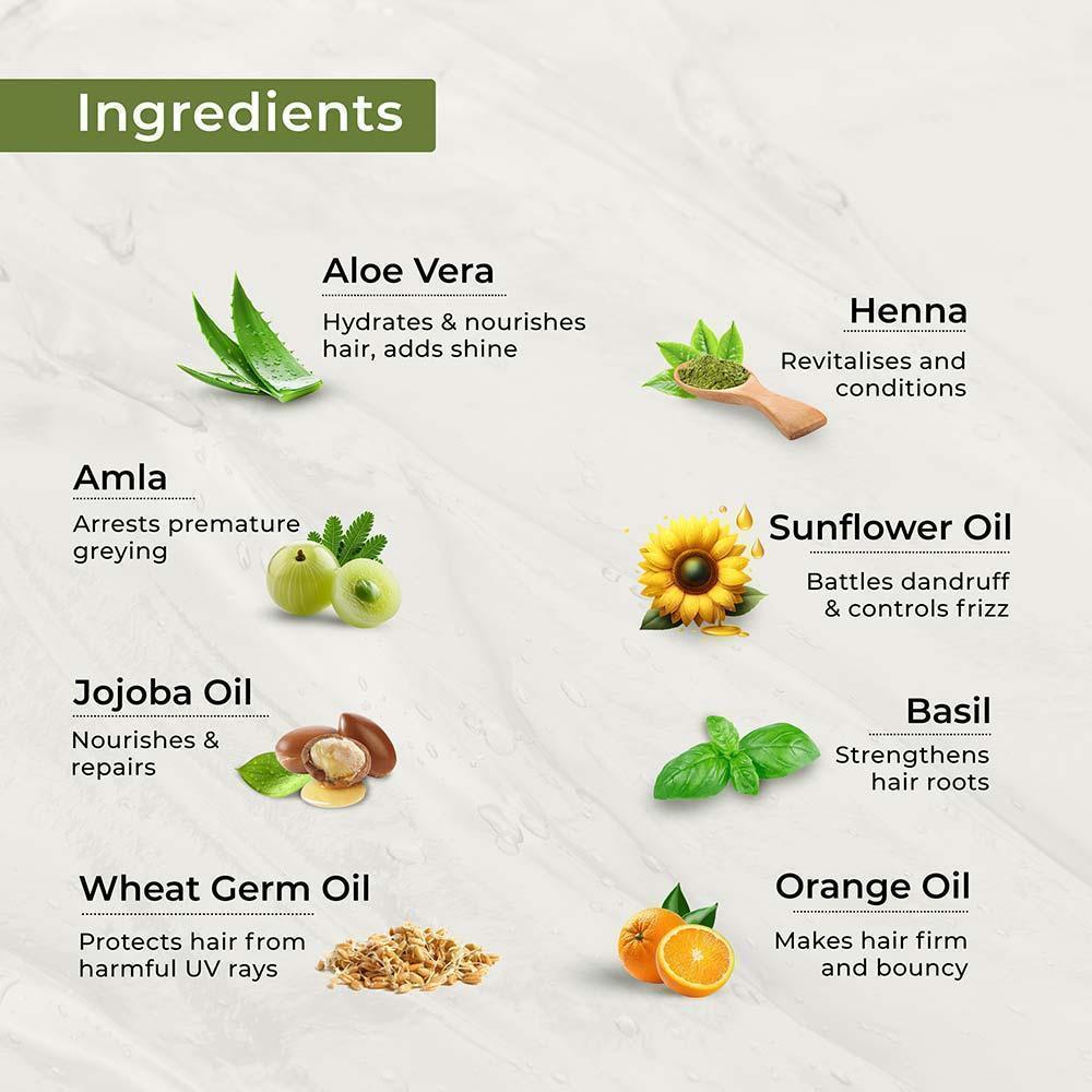 Indus Valley Ingredients Organic Gel Hair Colour Black 220ml Buy at Indicrest