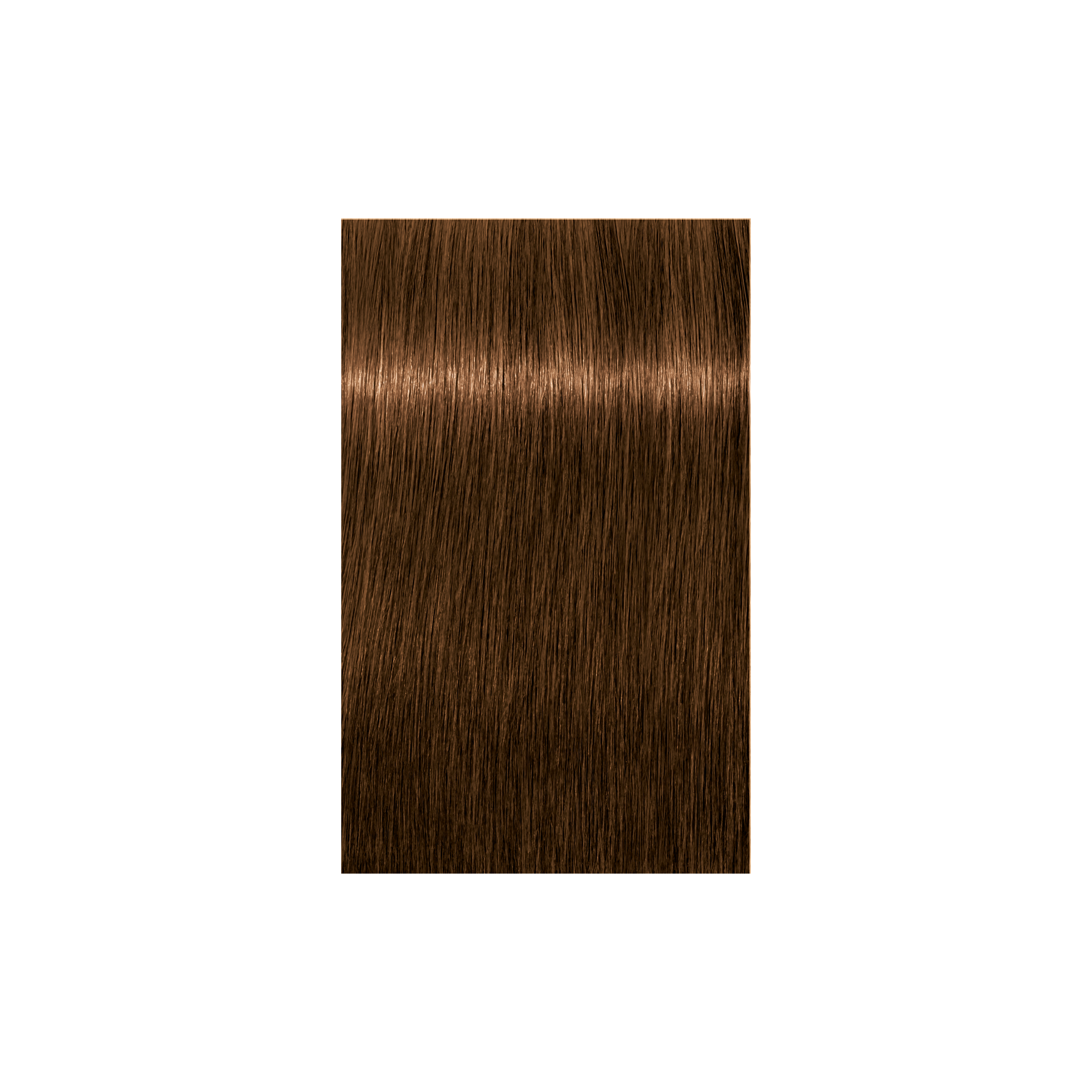 Schwarzkopf Professional Igora Royal Absolutes Permanent Color Creme (6-60), Dark Blonde Chocolate Natural - Indicrest