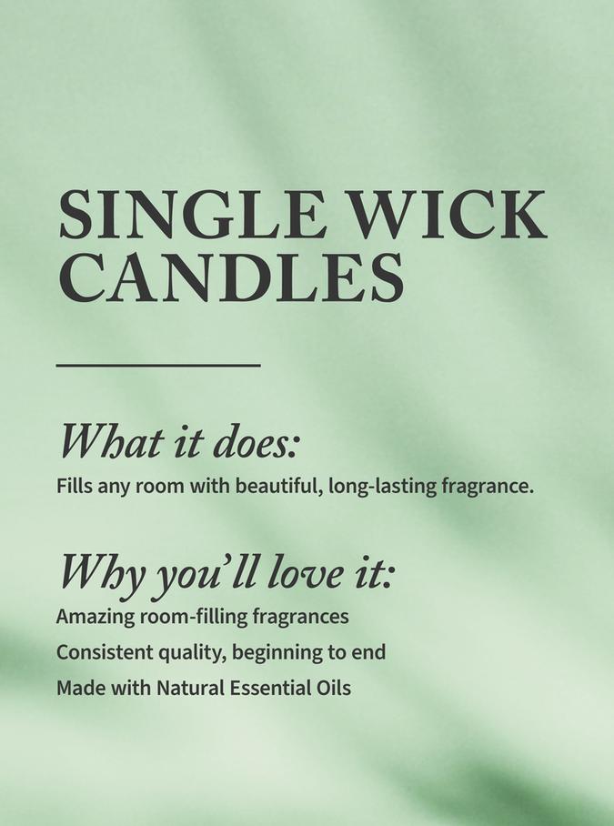 Bath & Body Works Madame Mystique Single Wick Candle, 227g / 8 oz Buy at Indicrest Image 2