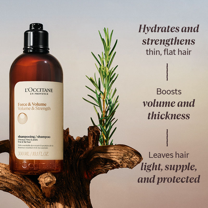 L'Occitane Volume & Strength Shampoo, Travel Size, 75ml