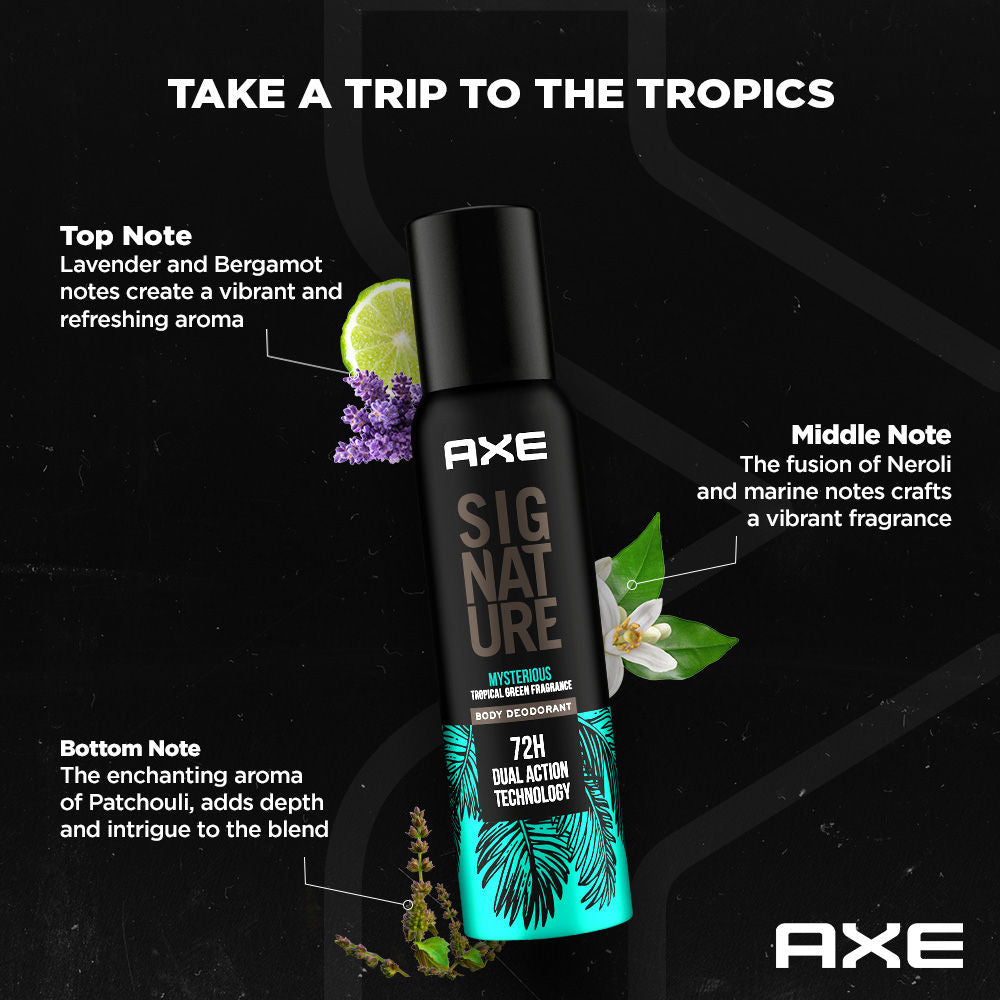 Axe Sigture Body Perfume Mysterious Pack Of 2, 308ml Buy at Indicrest Image 7
