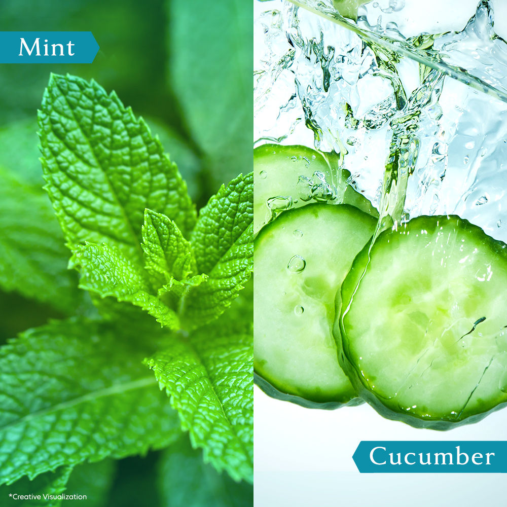 Vivel Refreshing Cooling Body Wash Mint & Cucumber Pump Bottle Shower Gel, 500ml Buy at Indicrest Image 5