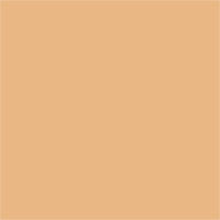 Nudestix Tinted Cover Liquid Foundation - Nude 5, 25ml